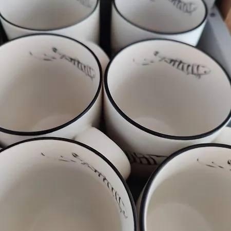 Ostsee-fynn Graal-Mueritz