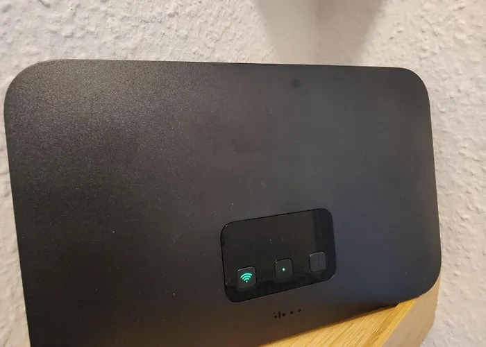 Ostsee-fynn 格拉尔-米里茨